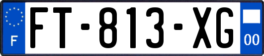 FT-813-XG