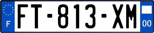 FT-813-XM