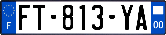 FT-813-YA