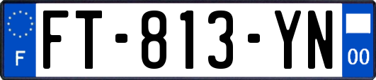 FT-813-YN