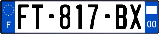 FT-817-BX