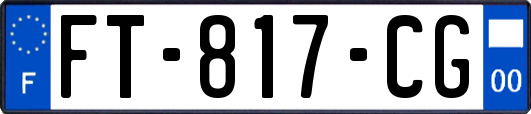 FT-817-CG