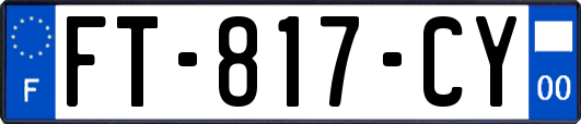 FT-817-CY