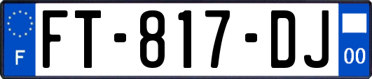 FT-817-DJ