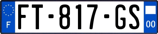 FT-817-GS