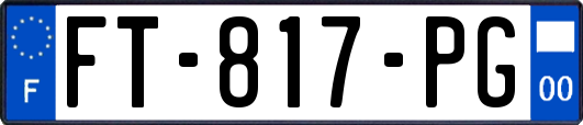 FT-817-PG