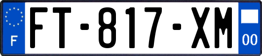 FT-817-XM