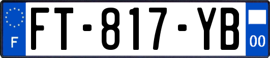 FT-817-YB