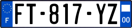 FT-817-YZ