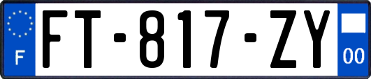 FT-817-ZY