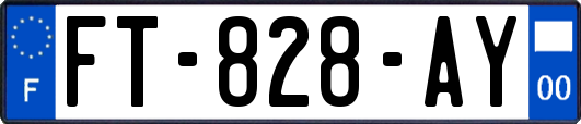 FT-828-AY