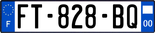 FT-828-BQ