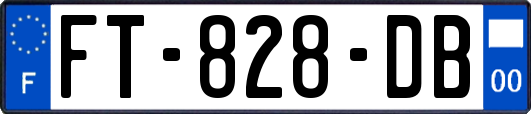 FT-828-DB