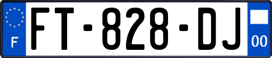 FT-828-DJ