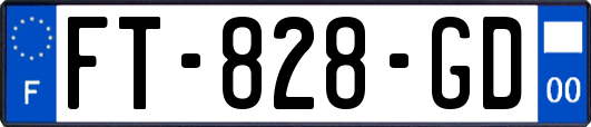 FT-828-GD