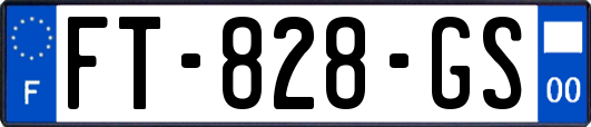 FT-828-GS