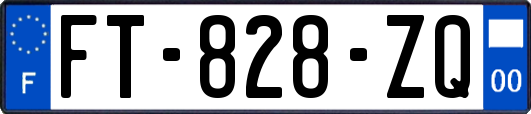 FT-828-ZQ