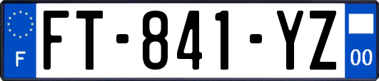 FT-841-YZ