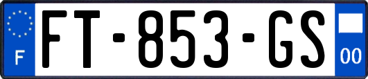 FT-853-GS
