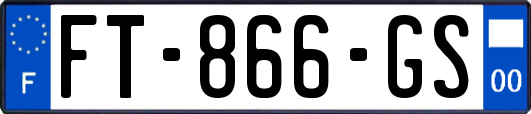 FT-866-GS