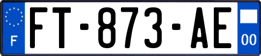 FT-873-AE