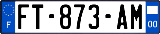 FT-873-AM