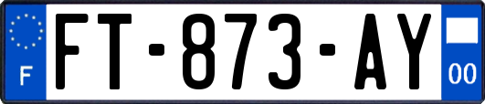 FT-873-AY