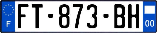 FT-873-BH