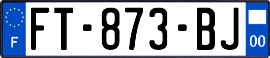 FT-873-BJ