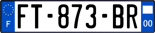 FT-873-BR