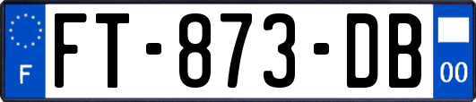 FT-873-DB