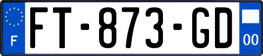 FT-873-GD