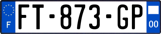 FT-873-GP