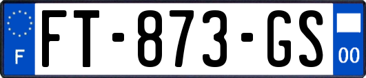 FT-873-GS