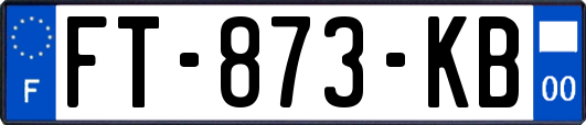 FT-873-KB