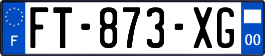 FT-873-XG