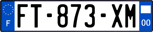 FT-873-XM