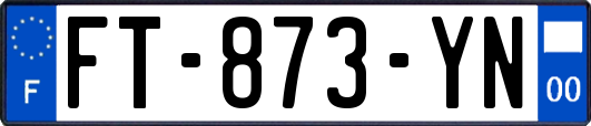 FT-873-YN