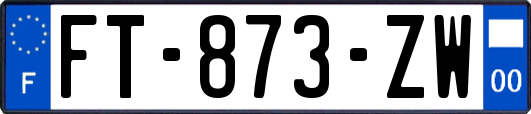 FT-873-ZW