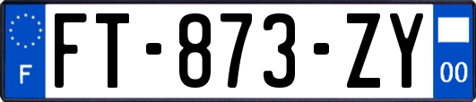 FT-873-ZY