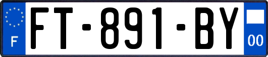 FT-891-BY