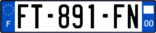 FT-891-FN