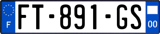 FT-891-GS