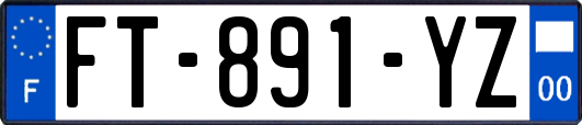 FT-891-YZ