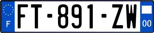 FT-891-ZW