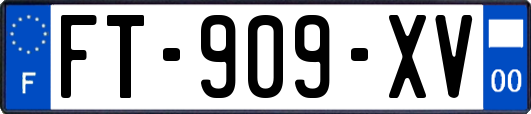 FT-909-XV