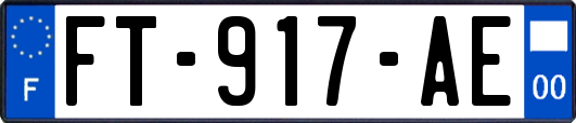 FT-917-AE