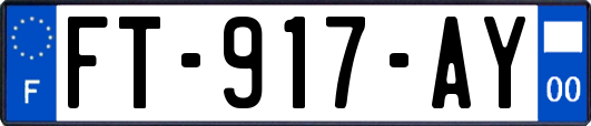 FT-917-AY