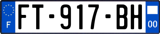 FT-917-BH