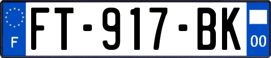 FT-917-BK